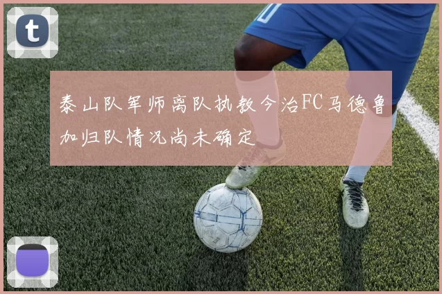 泰山队军师离队执教今治FC马德鲁加归队情况尚未确定