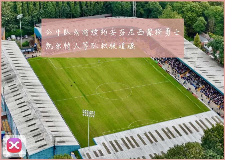 公牛队或将续约安芬尼西蒙斯勇士凯尔特人等队积极追逐