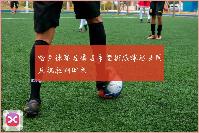 哈兰德赛后感言希望挪威球迷共同庆祝胜利时刻