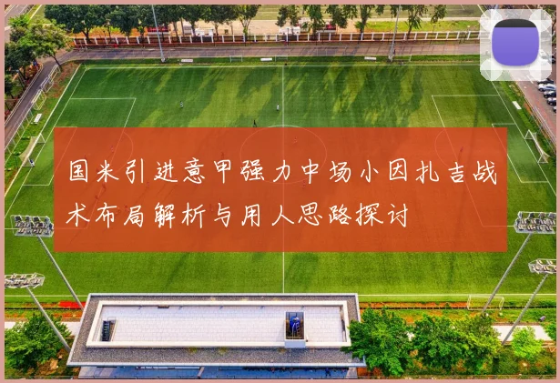 国米引进意甲强力中场小因扎吉战术布局解析与用人思路探讨